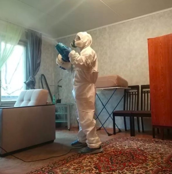 дезинсекция квартиры в Темникове